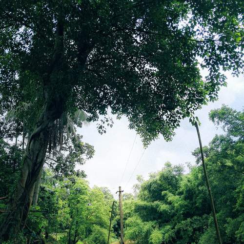 Photo #11222710