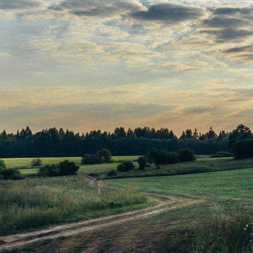Photo #11222716
