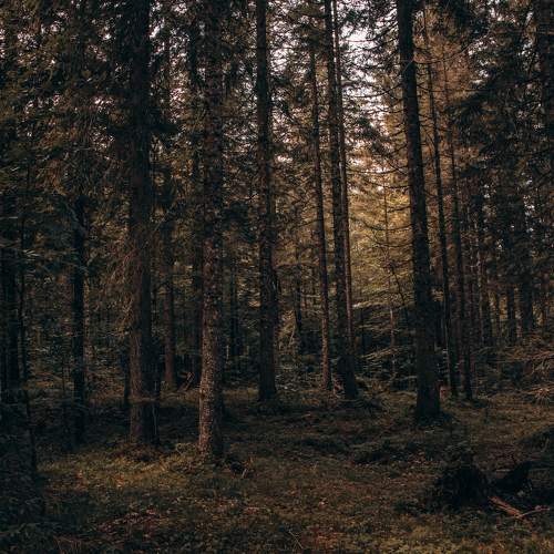 Photo #11222828