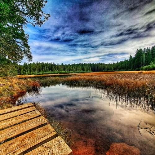 Photo #11222859