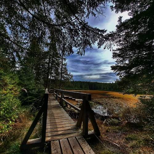 Photo #11222860