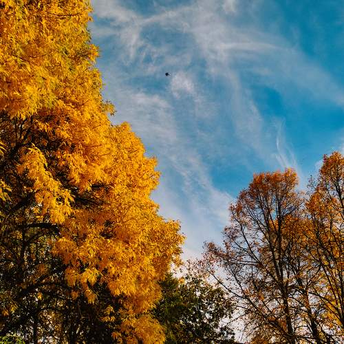 Photo #11222882