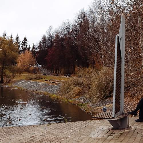 Photo #11222883