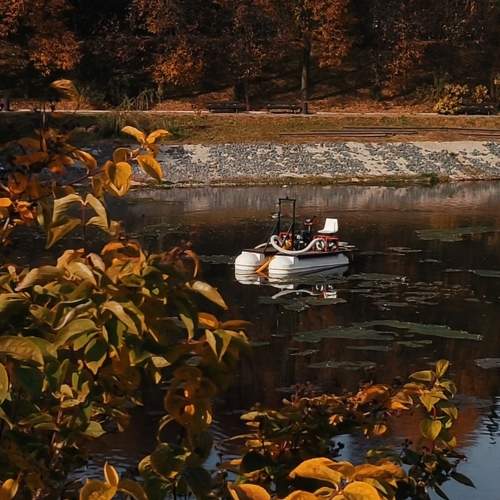 Photo #11222910