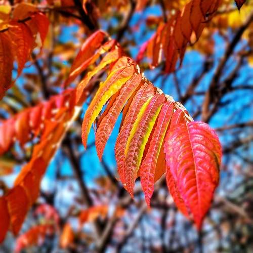 Photo #11223045