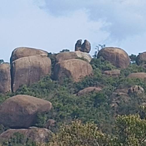 Photo #11223155