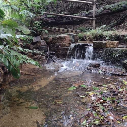 Photo #11223209