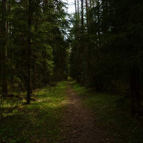 Photo #11223253