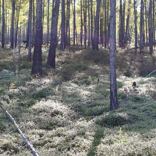 Photo #11223304