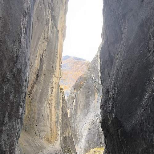 Photo #11223309