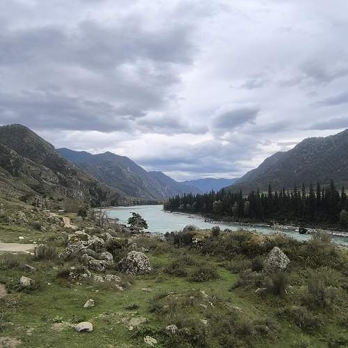 Photo #11223311
