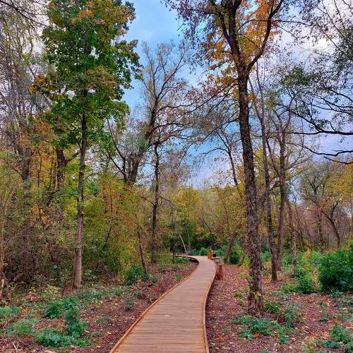 Photo #11223313
