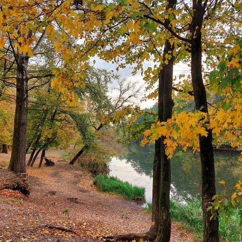 Photo #11223316