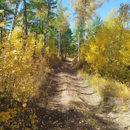 Photo #11223350