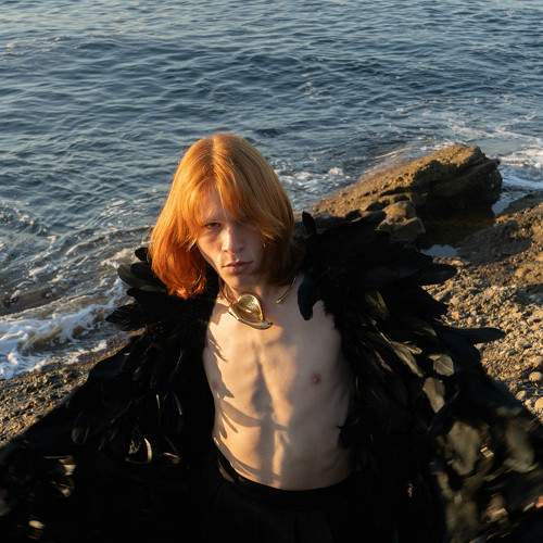 Photo #11223437