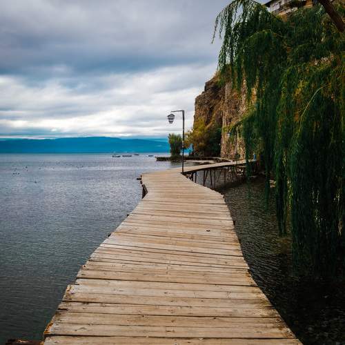 Photo #11223518