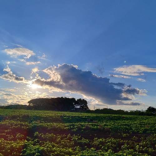 Photo #11223525