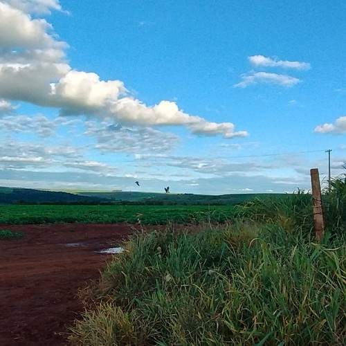 Photo #11223545