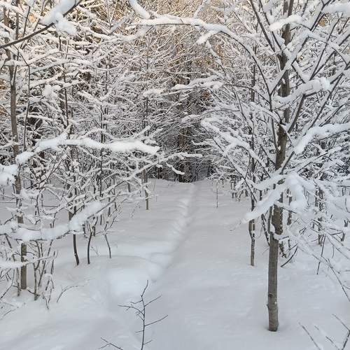Photo #11223566