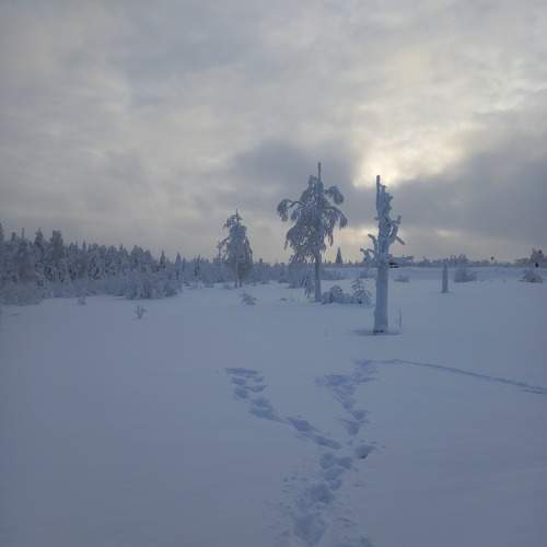 Photo #11223568