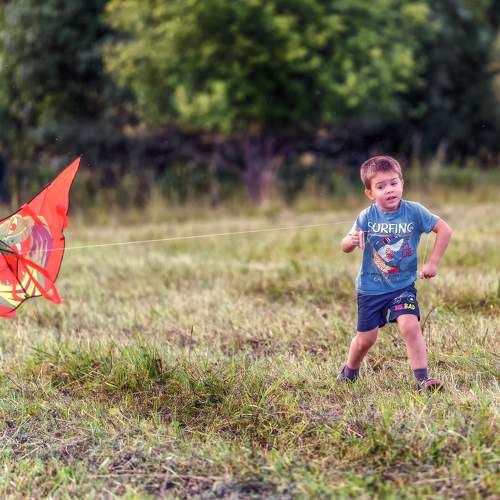 Photo #11223597