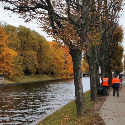 Photo #11223811