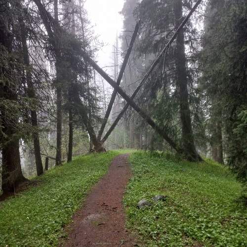 Photo #11223852