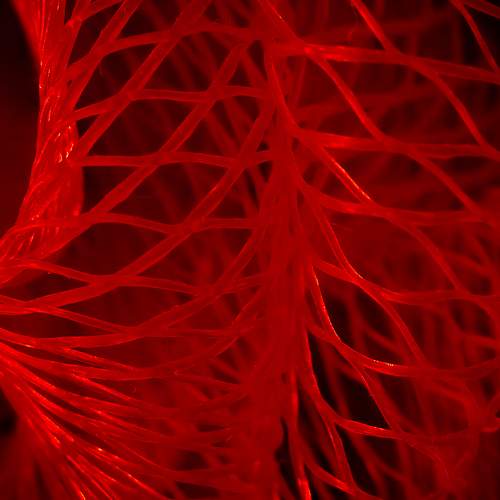 Close up of a red nylon washcloth