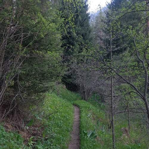 Photo #11223912