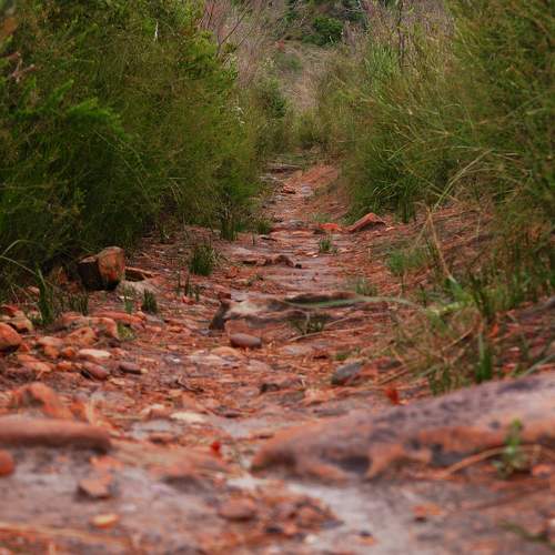 Photo #11223950