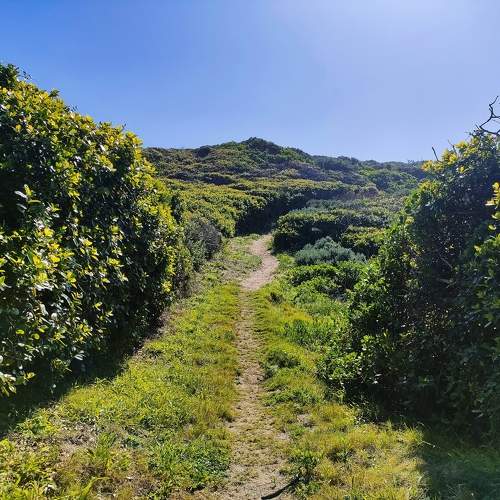 Photo #11223951