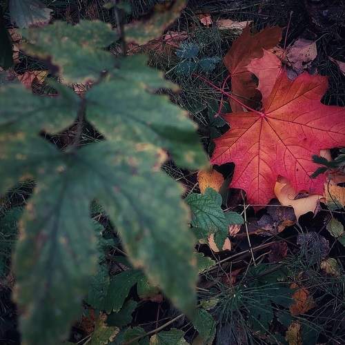 Photo #11224013