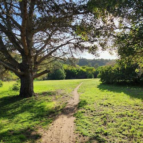 Photo #11224035