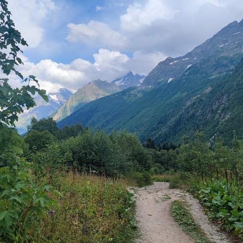 Photo #11224069