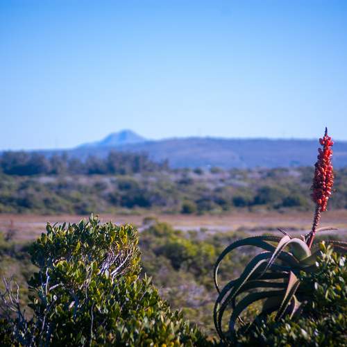 Photo #11224072