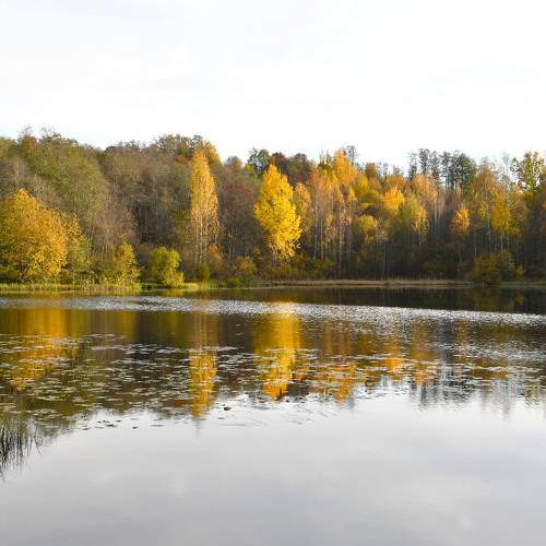 Photo #11224085