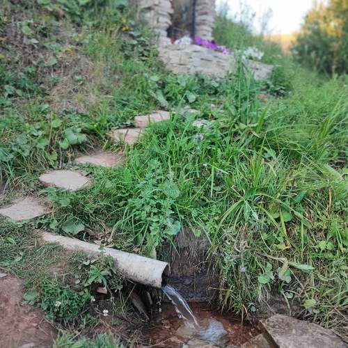 Photo #11224105