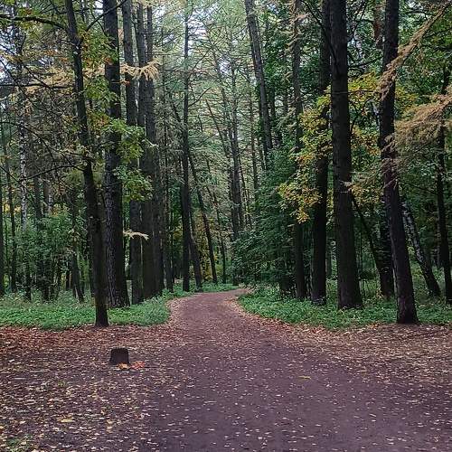 Photo #11224111