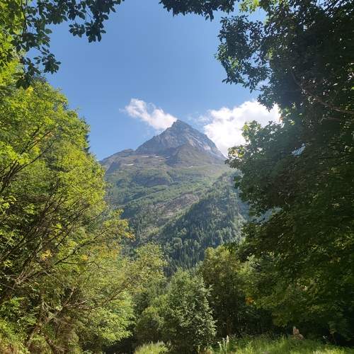 Photo #11224163