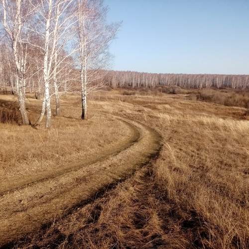 Photo #11224164