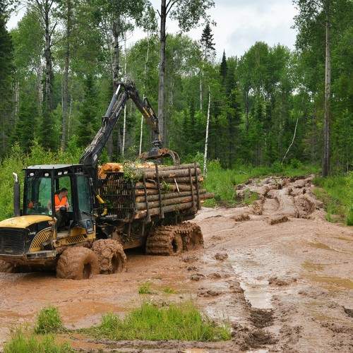 Photo #11224180