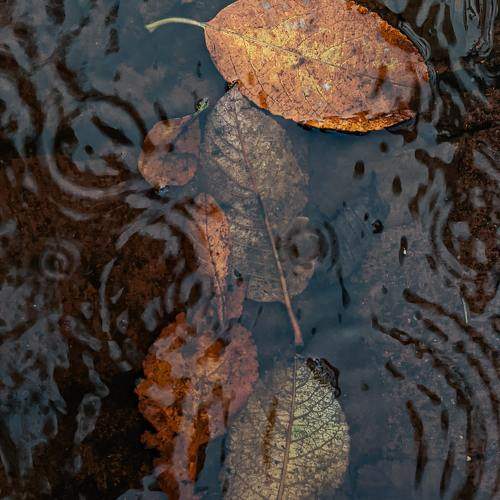 Photo #11224188