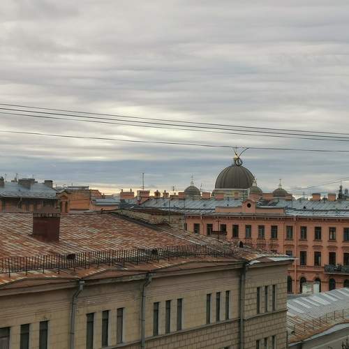 Photo #11224258