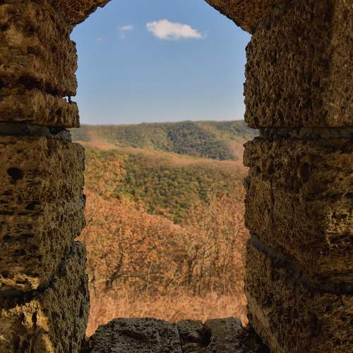 Photo #11224297