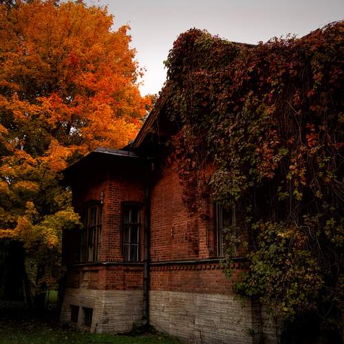 Photo #11224341