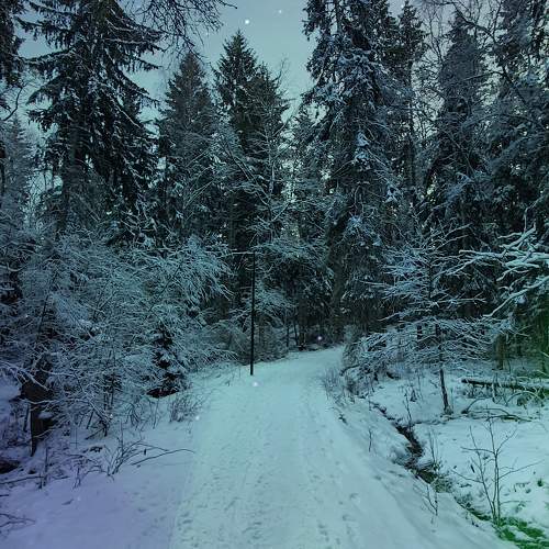 Photo #11224390