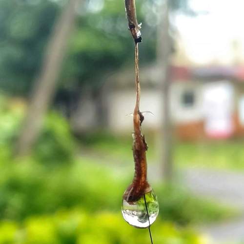 Photo #11224434