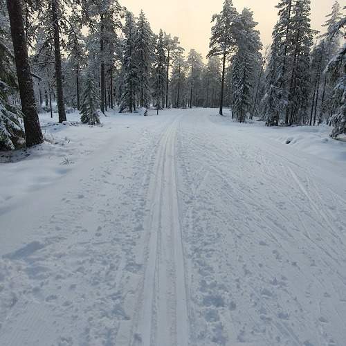 Photo #11224467