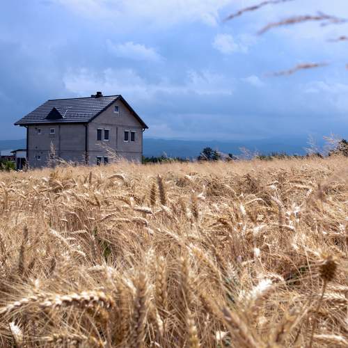 Photo #11224525