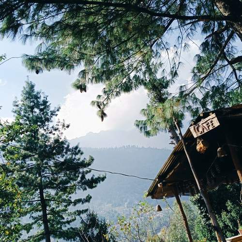 Photo #11224537